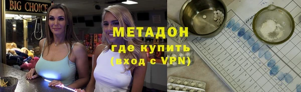 прущие грибы Белокуриха