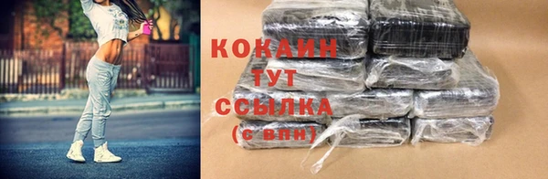 прущие грибы Белокуриха