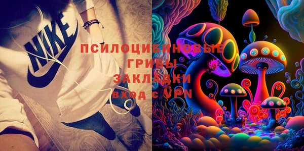 2c-b Беломорск