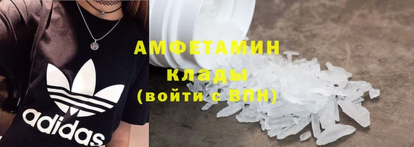 прущие грибы Белокуриха