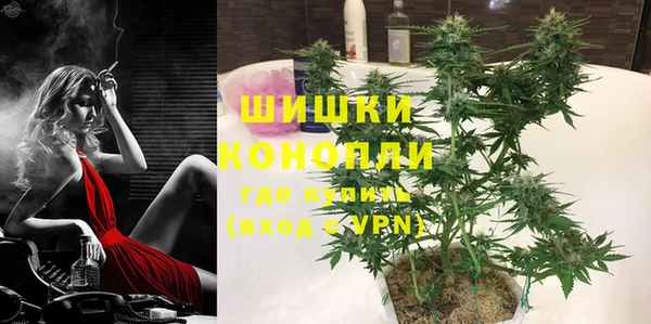 прущие грибы Белокуриха