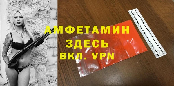прущие грибы Белокуриха