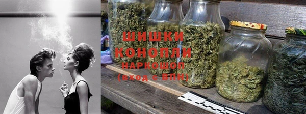 прущие грибы Белокуриха