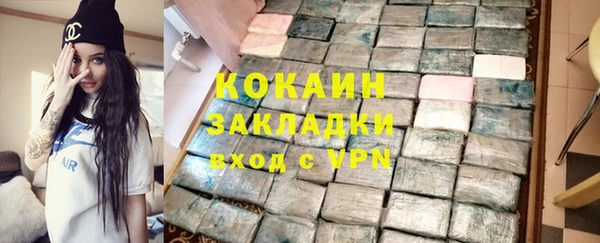прущие грибы Белокуриха