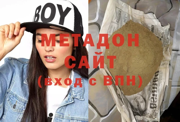 прущие грибы Белокуриха